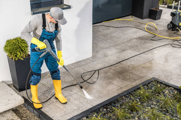 Best House Pressure Washing  in Flora Vista, NM